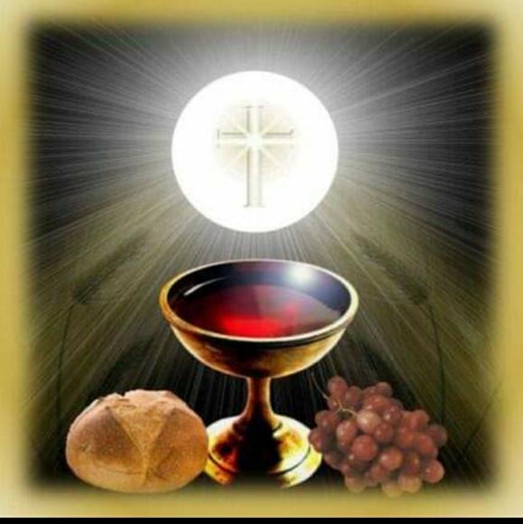 Meet your Posher, Erika - Picture 1 of 1